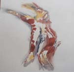 Prelim studies for children's books / Voorstudies vir kinderboeke