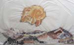 Prelim studies for children's books / Voorstudies vir kinderboeke